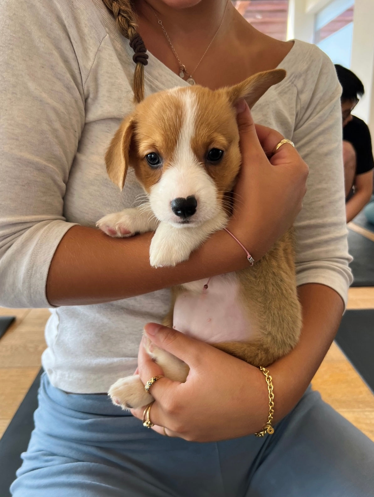 šToronto @Corgi (September 13th, 1:45pm)