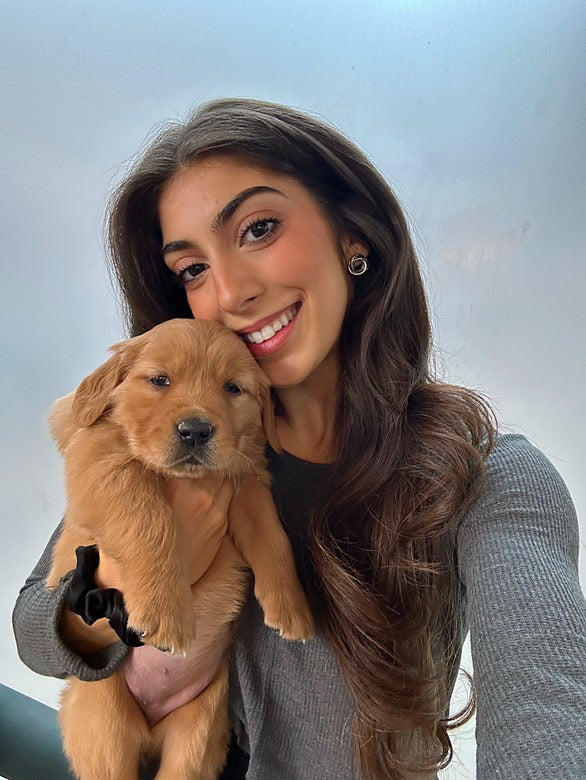 šToronto @Golden Retriever (April 26th, 10:00am)