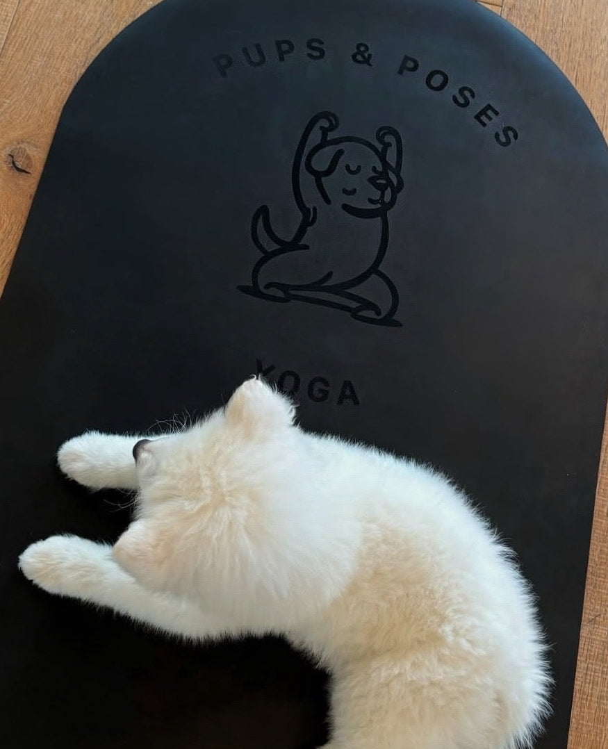 šToronto @Breed TBD (March 14th, 10:00am)