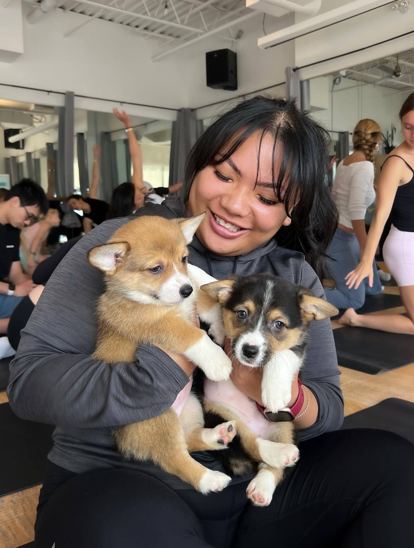 šToronto @Corgi (September 13th, 1:45pm)
