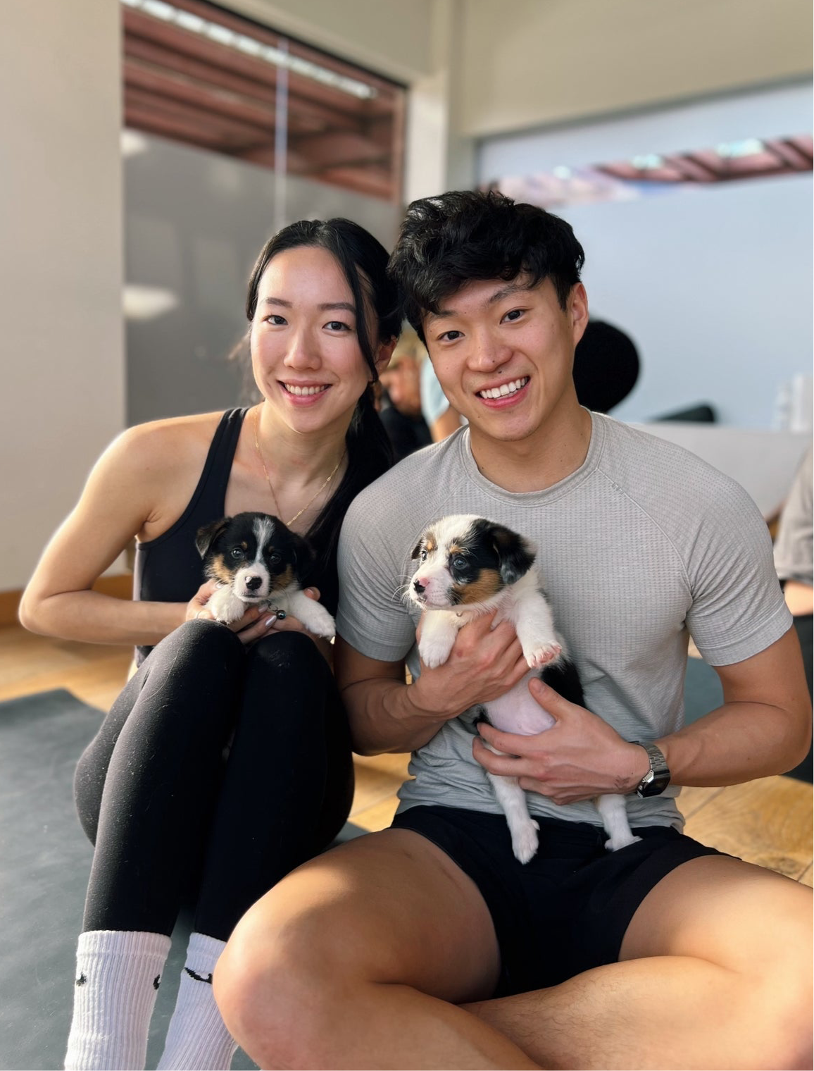 šToronto @Corgi (September 13th, 1:45pm)