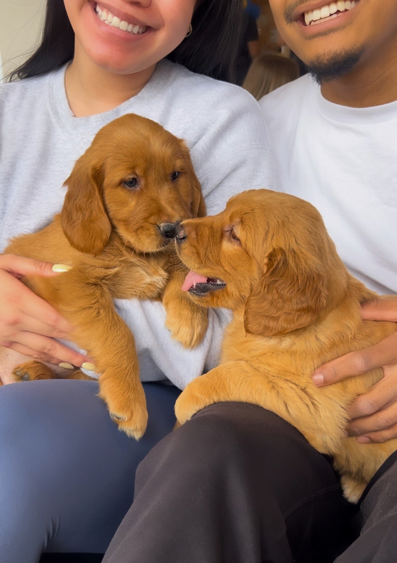 📍Toronto @Golden Retriever (May 10th, 9:45am)