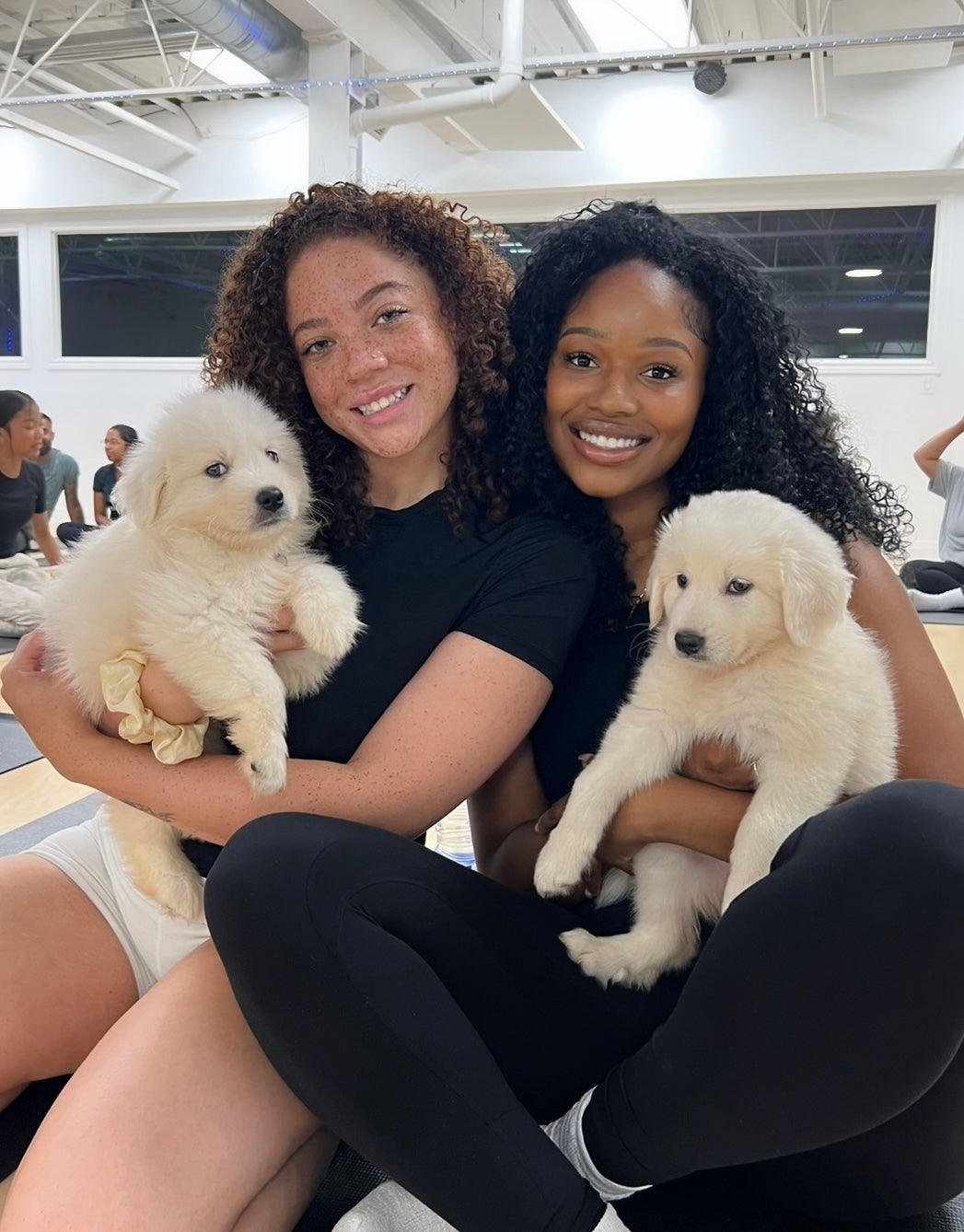 🎄Toronto Christmas Edition @Golden Retriever Samoyed Mix (December 6th, 11:45am)