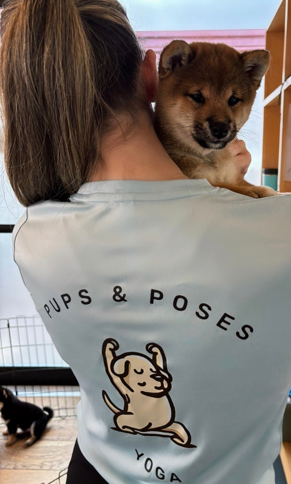 📍Toronto @Shiba Inu (June 20th, 3:30pm)