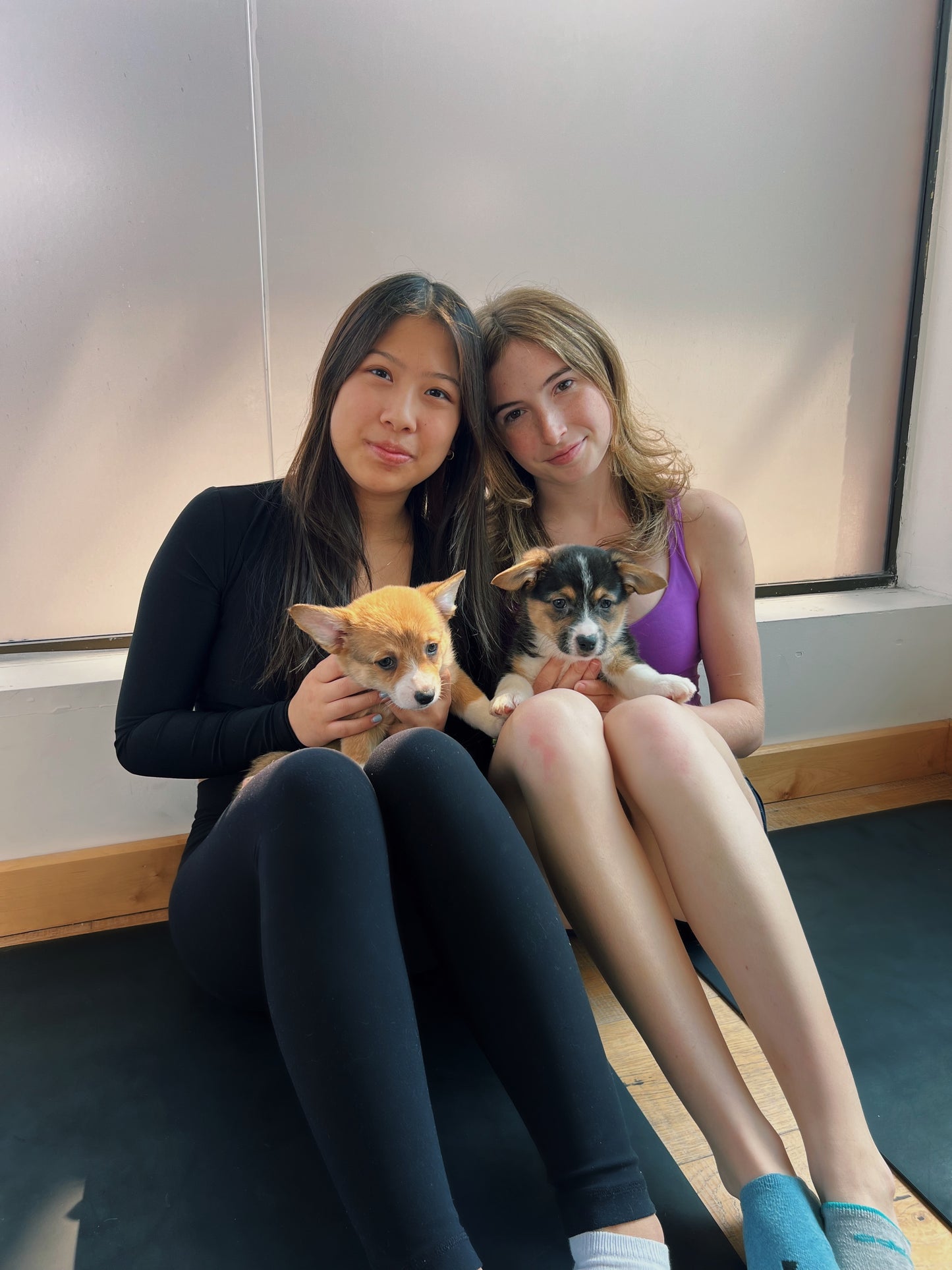 📍Toronto @Corgi (September 7th, 11:45am)