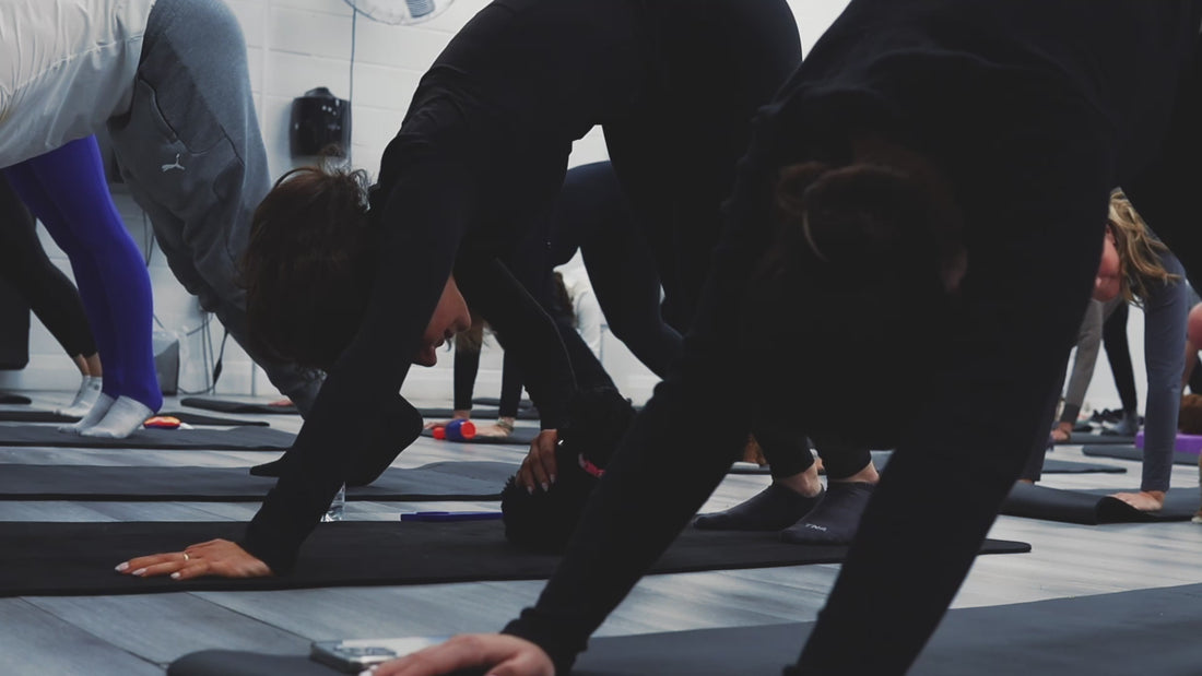 Pups & Poses Yoga -Puppy Yoga Studio
